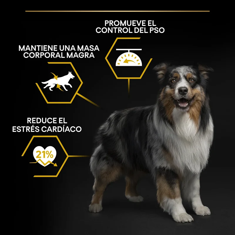 Pro Plan Dog Allsize Adult Light Sterilized Pollo Pienso para Perros