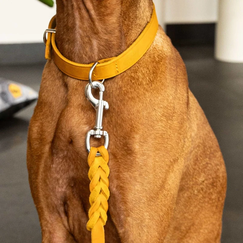 Perros suaves de cuero con elementos manuales y geflochtenen