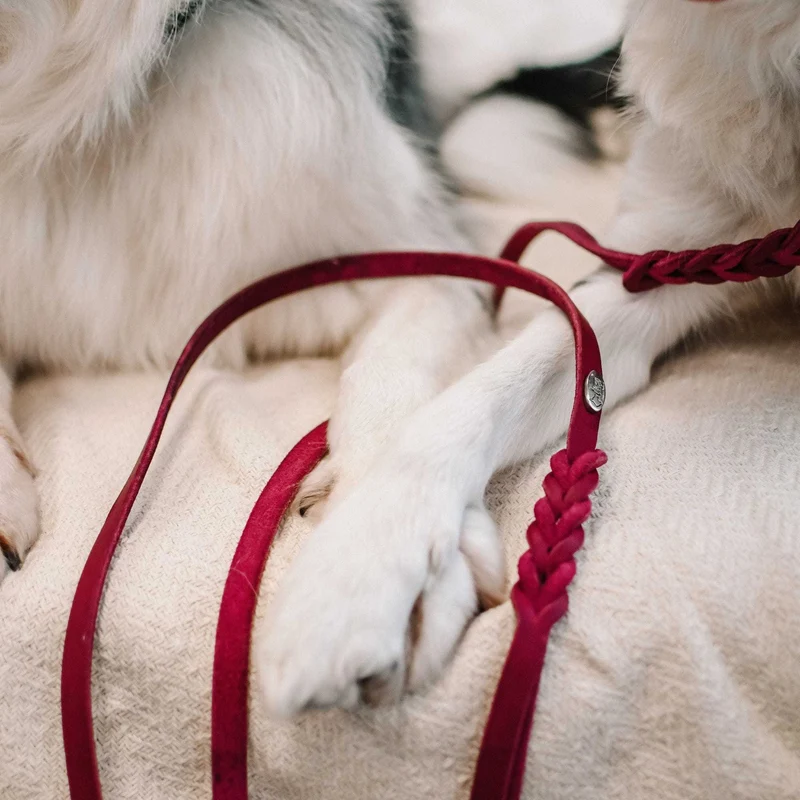 Perros suaves de cuero con elementos manuales y geflochtenen