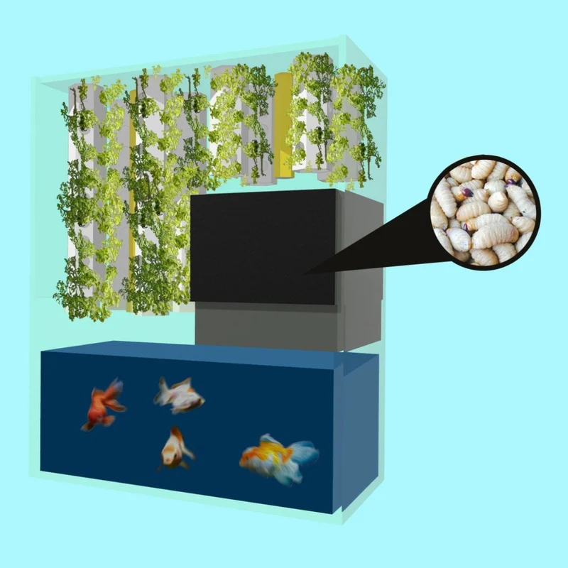Reciclador de residuos de alimentos orgánicos - Generador de entropía