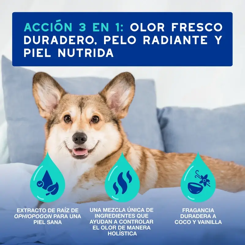 Douxo Skin & Coat Spa Spray Multiacción Antiolor Para Perros, 340 ml