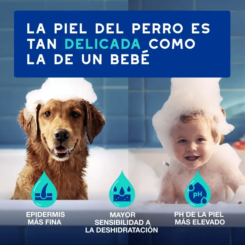 Douxo Skin & Coat Spa Spray Multiacción Antiolor Para Perros, 340 ml