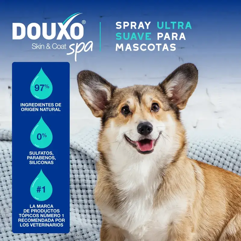 Douxo Skin & Coat Spa Spray Multiacción Antiolor Para Perros, 340 ml