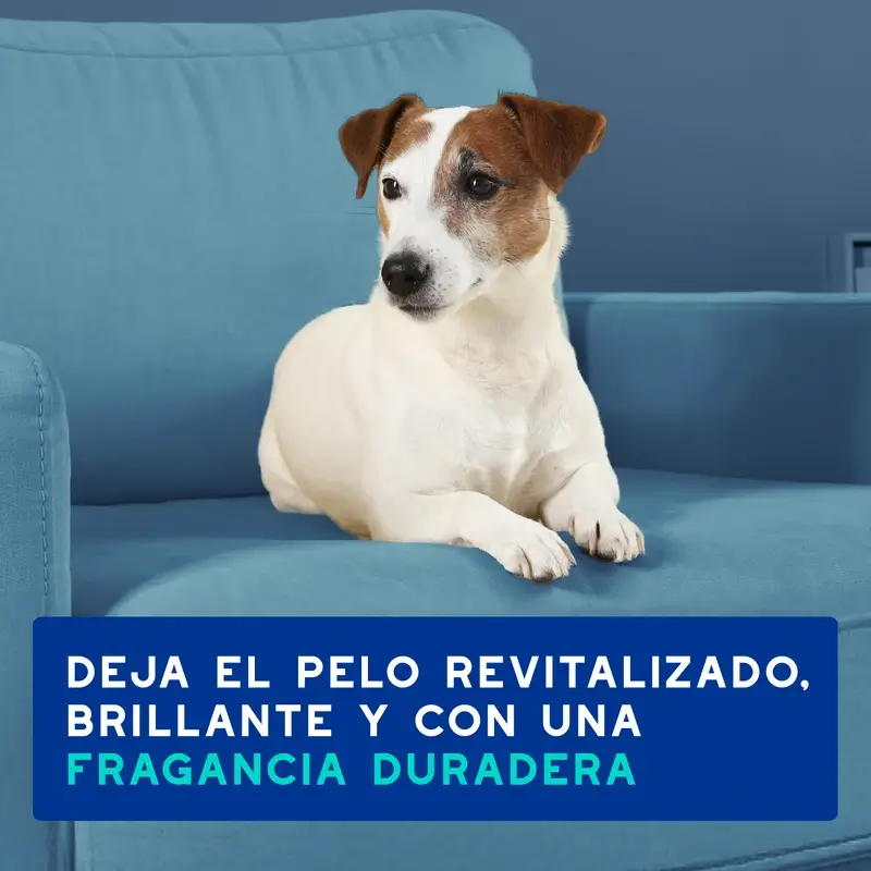 Douxo Skin & Coat Spa Spray Multiacción Antiolor Para Perros, 340 ml