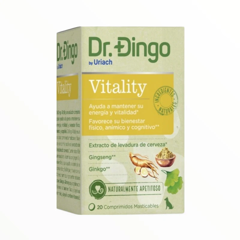 Dr Dingo Vitaly