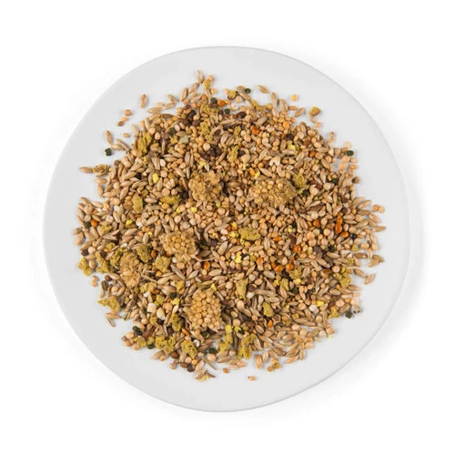 Witte Molen Río Mixtura Aves Exóticas y Tropicales — Alimento Pájaros