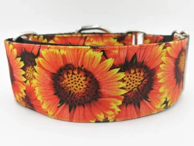 Gosk Collar Martingale Girasoles — Collar Antiescape para Perros