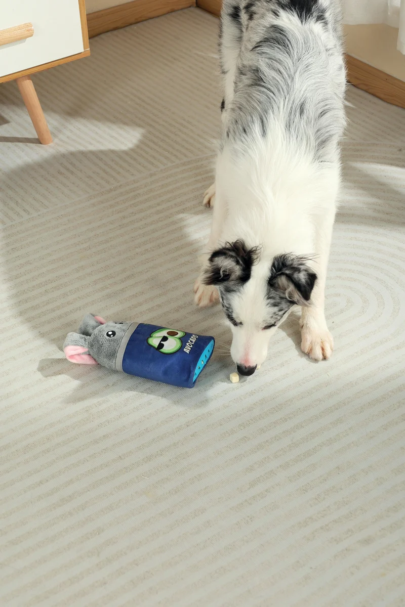 Snack Attack food dispenser dog toy - ROGER