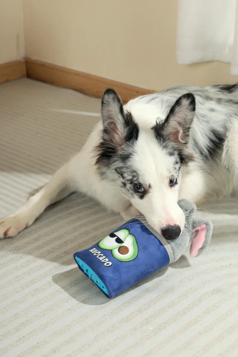 Snack Attack food dispenser dog toy - ROGER