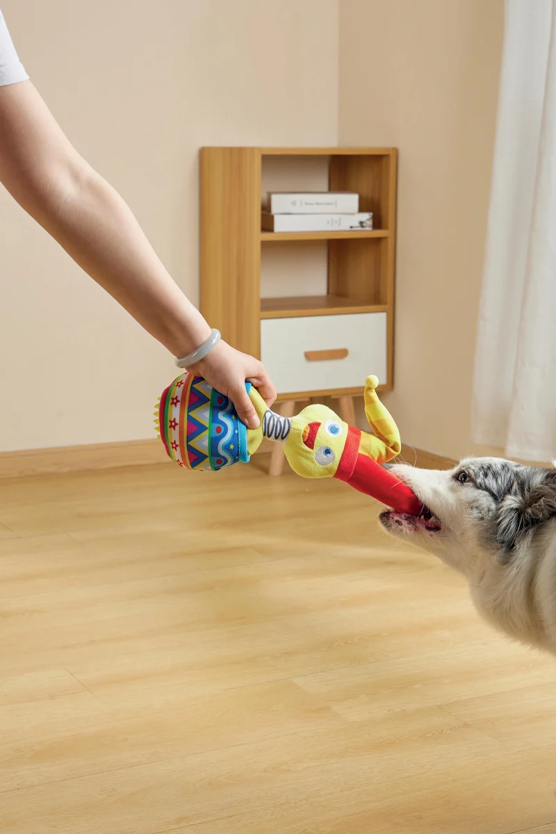 Joyful Snack Attack Dog Toy - Jester