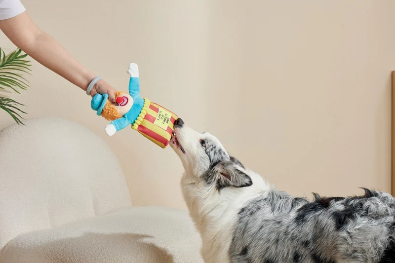 Joyful Snack Attack Dog Toy - Circus