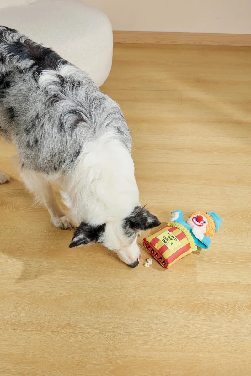 Joyful Snack Attack Dog Toy - Circus