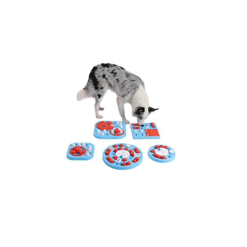 BRAINY GAMES Da VINCI - S-L2 Medium