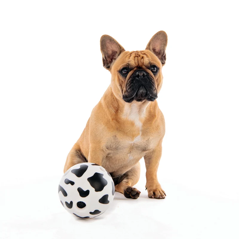 PONGO - Interactive ball