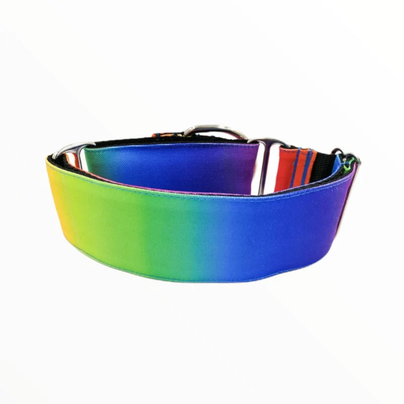 Gosk Collar Martingale Rainbow — Collar Antiescape para Perros
