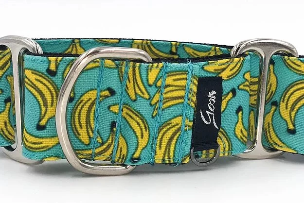 Gosk Collar Martingale Blue Banana — Collar Antiescape para Perros