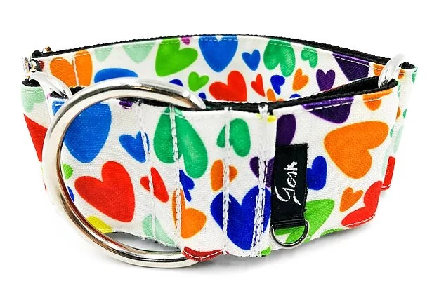 Gosk Collar Martingale Colorfull Blanco — Collar Antiescape para Perros