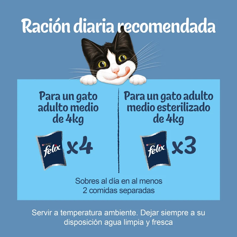 Felix Original Selección Carnes Pack 12X85 g