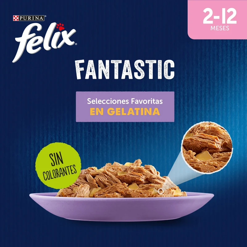 Felix Fantastic Junior Pack 4X85 g