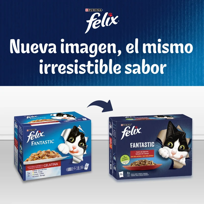 Felix Fantastic Carnes Pack 4X85 g