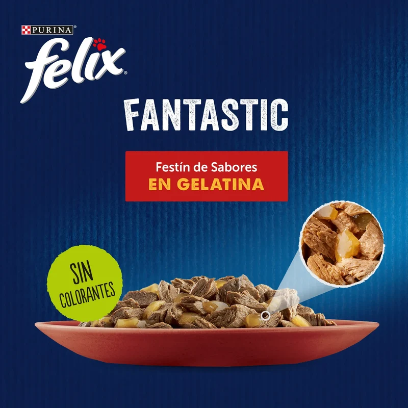 Felix Fantastic Carnes Gelatina Pack 12X85 g
