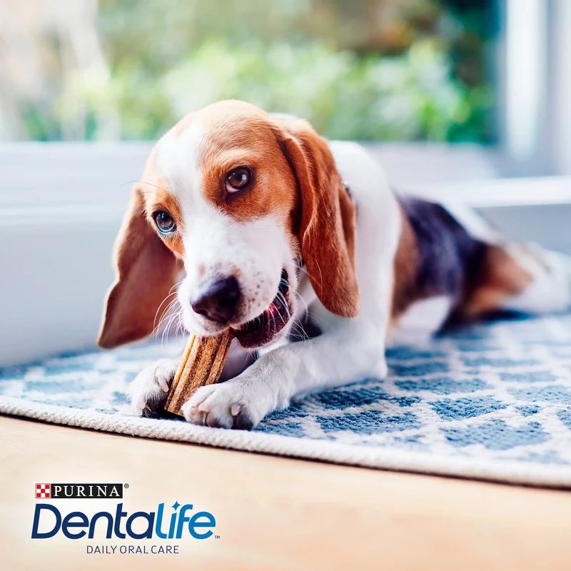 Dentalife Dog Small 30 Sticks