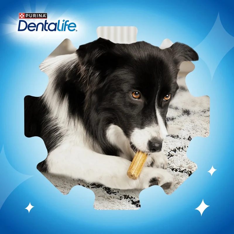 Dentalife Dog Medium 42 Sticks