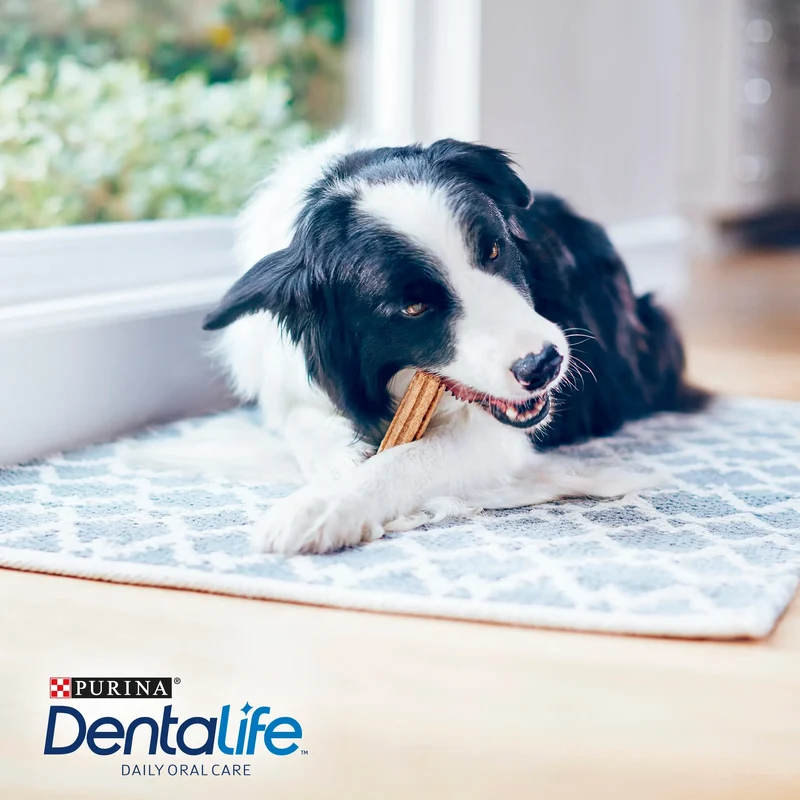 Dentalife Dog Medium 24 Sticks