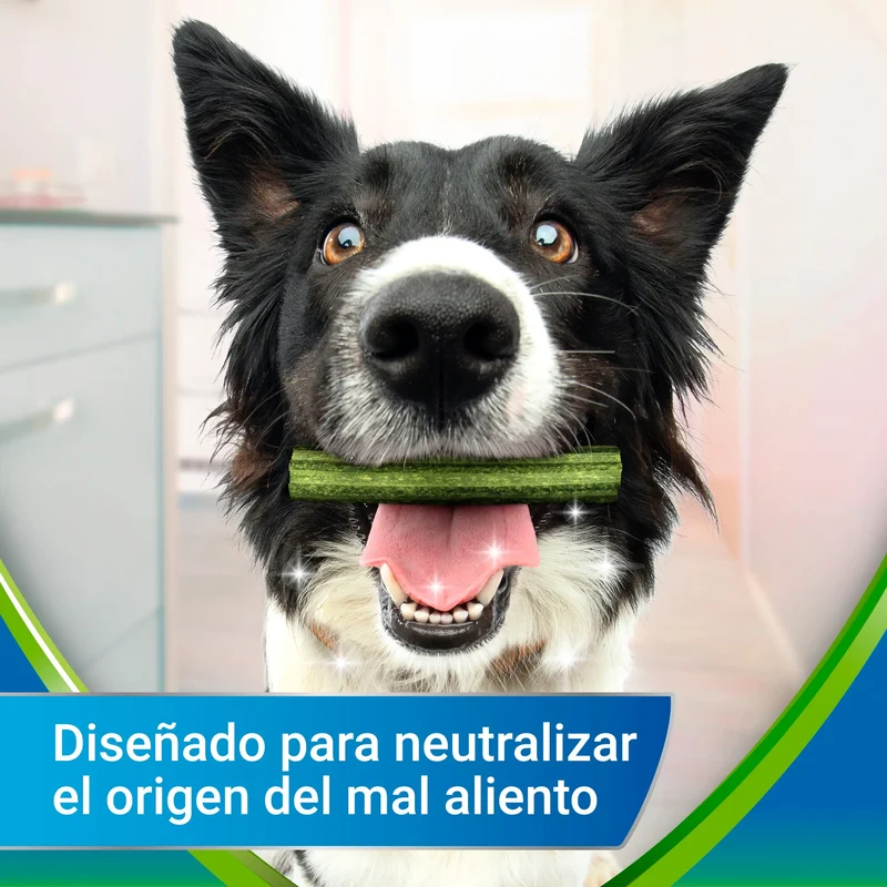 Dentalife Activfresh Dog Large 4 Sticks