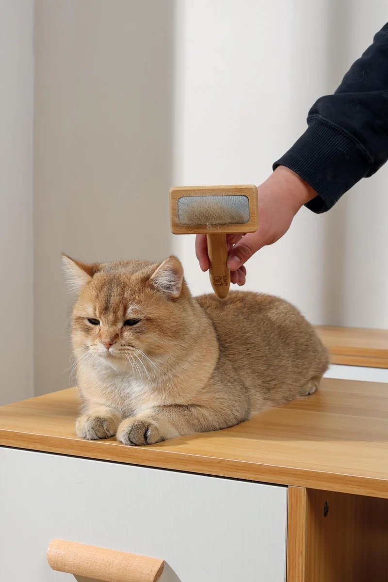BAMBOO Slicker Brush