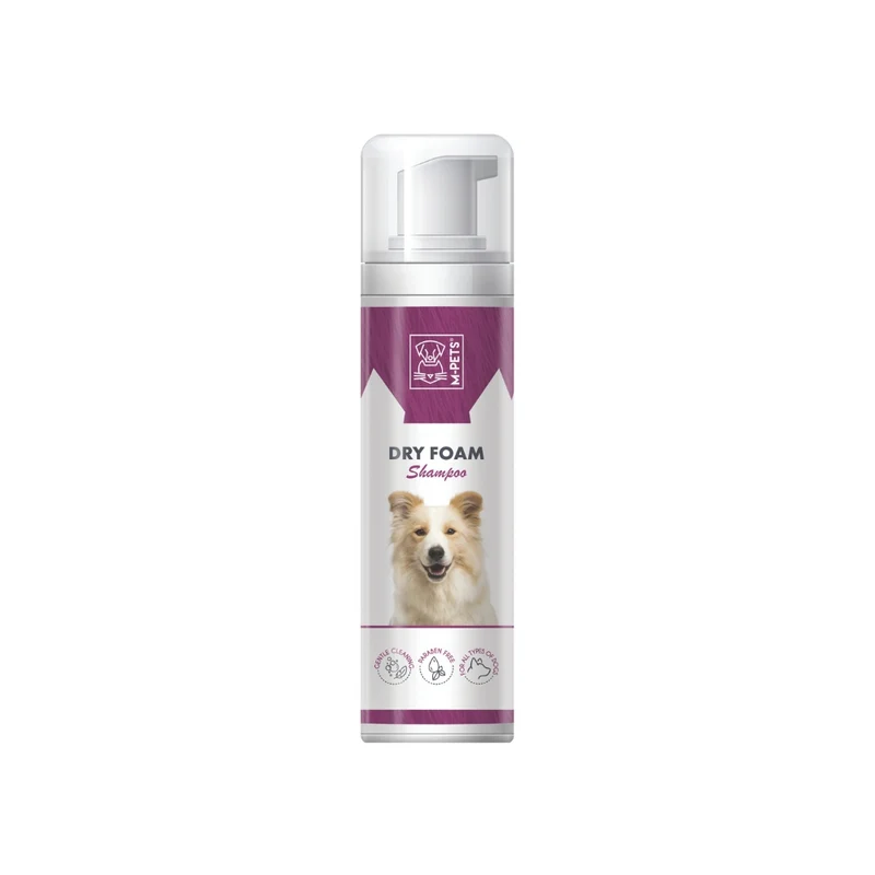 DRY FOAM 230 ml