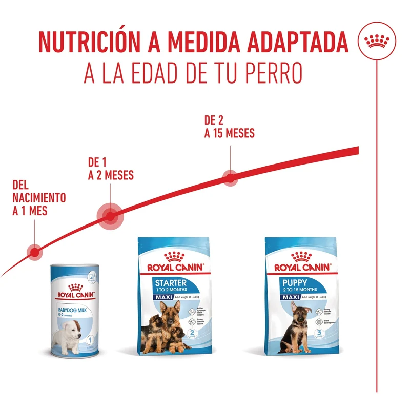 Royal Canin Maxi Starter Mother & Babydog Pienso para Cachorros y Madres Lactantes