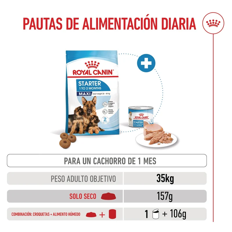 Royal Canin Maxi Starter Mother & Babydog Pienso para Cachorros y Madres Lactantes
