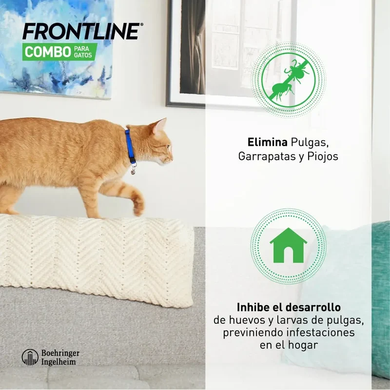 Frontline® Combo Antiparasitario Spot On para Gatos 3 Pipetas