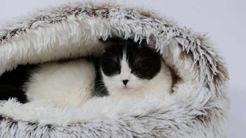 SNUGO ECO Cat Bed - Gray