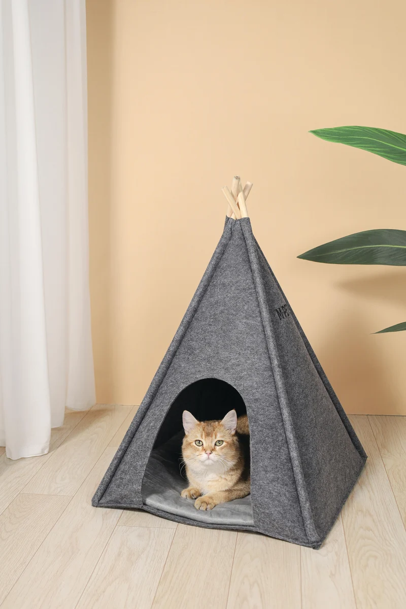 ECO Tipi