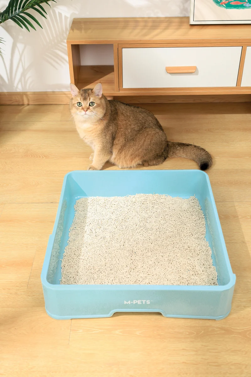 SOYA Organic Cat Litter Natrual