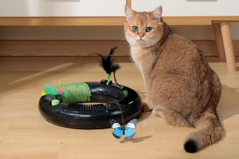HALO ECO Cat toy