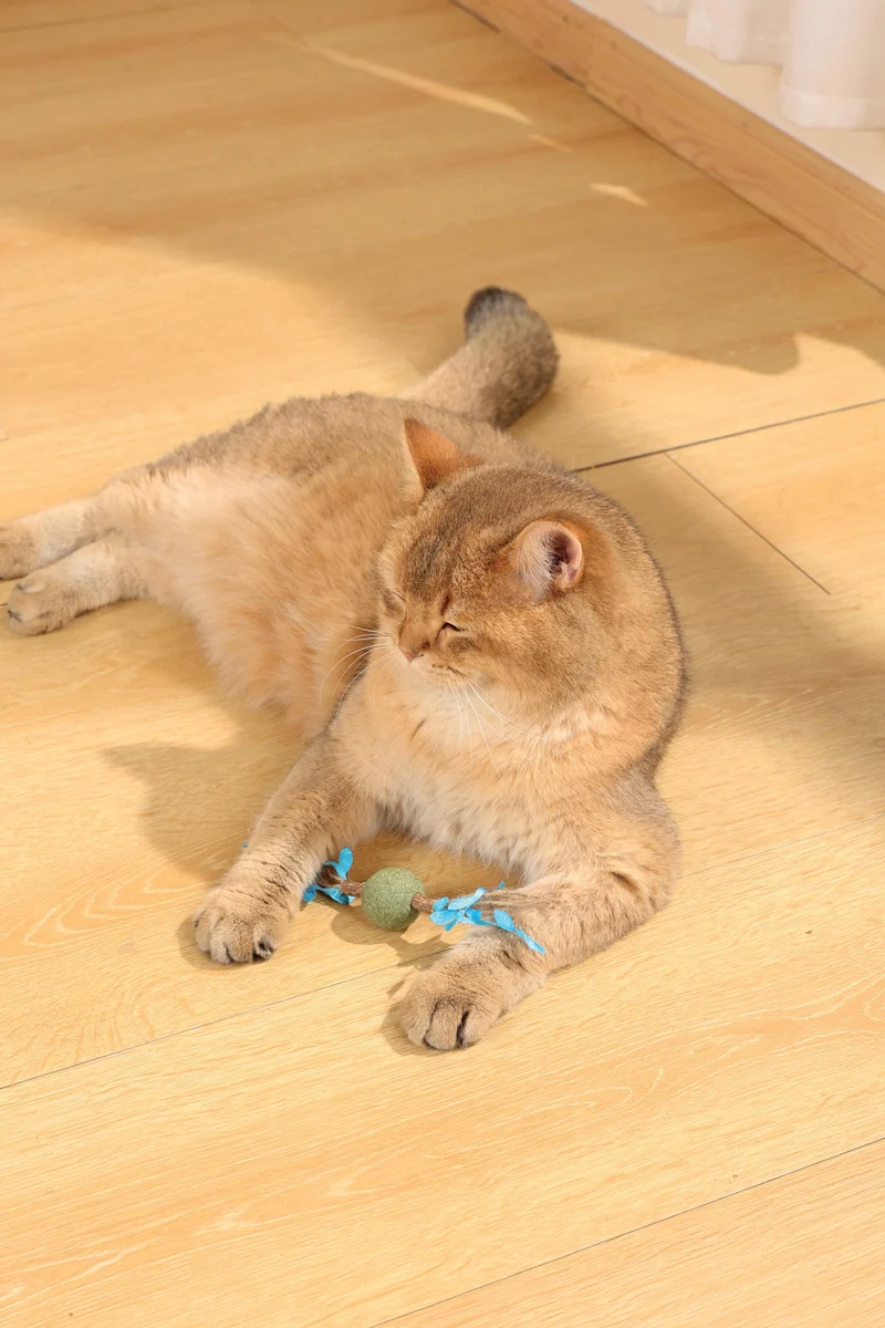 CHARMY Catnip Toy - TREE BRANCH Blue