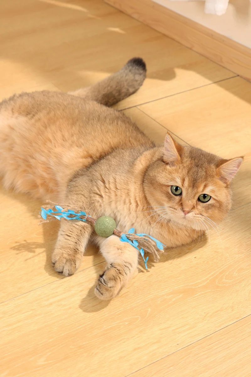 CHARMY Catnip Toy - TREE BRANCH Blue