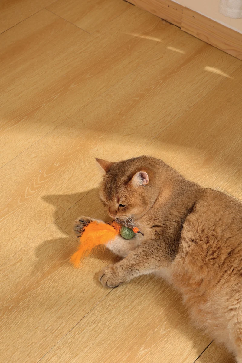 CHARMY Catnip Toy - BUGBEAR Orange