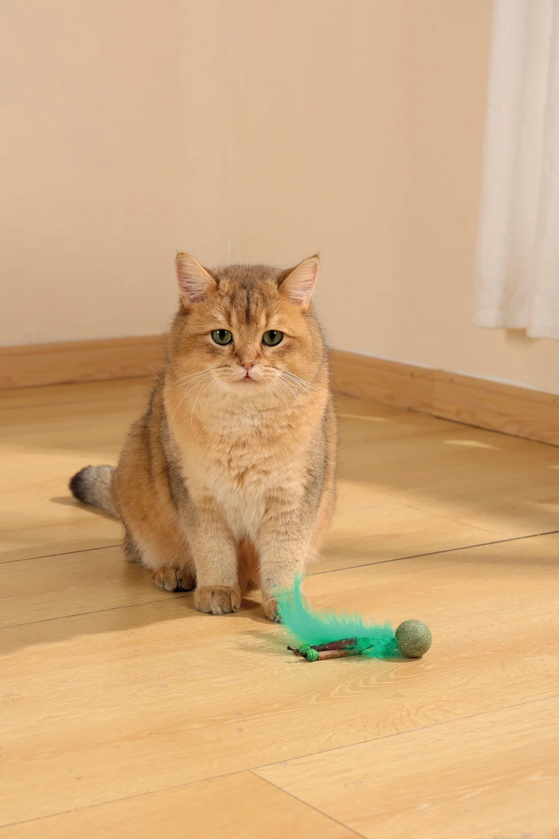 CHARMY Catnip Toy - BUGBEAR Green