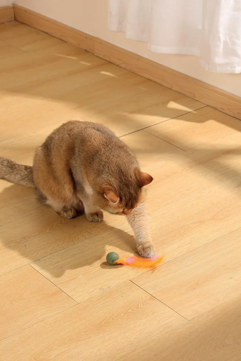 CHARMY Catnip Toy - FIREFLY Orange
