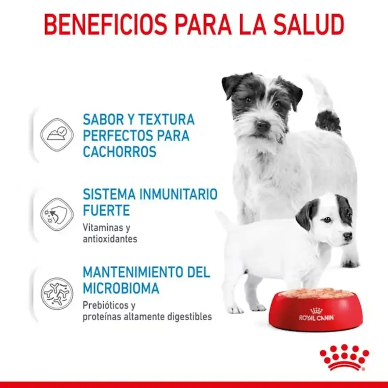 Royal Canin Starter Mousse Lata 195 g húmedo