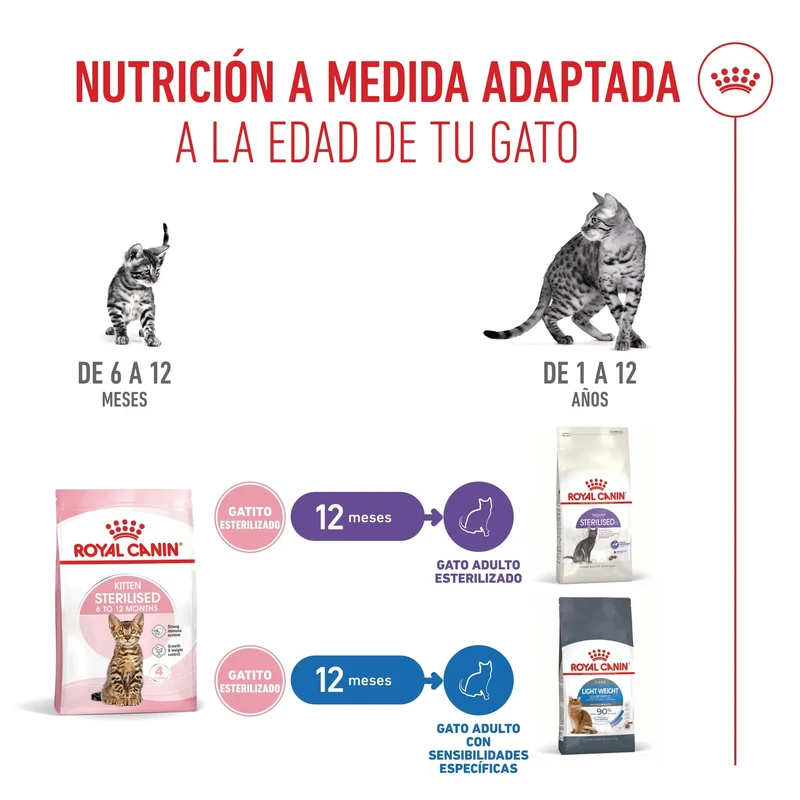 Royal Canin Kitten Sterilized Pienso para Gatitos Esterilizados