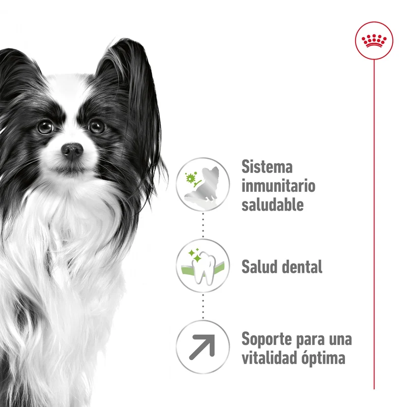 Royal Canin X-Small 8+ Pienso para Perros