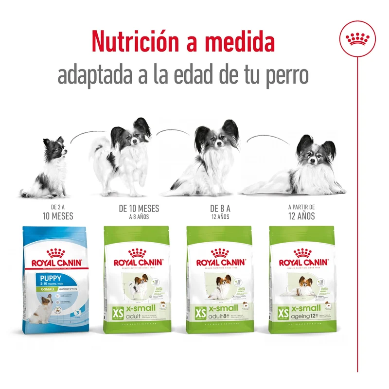Royal Canin X-Small 8+ Pienso para Perros