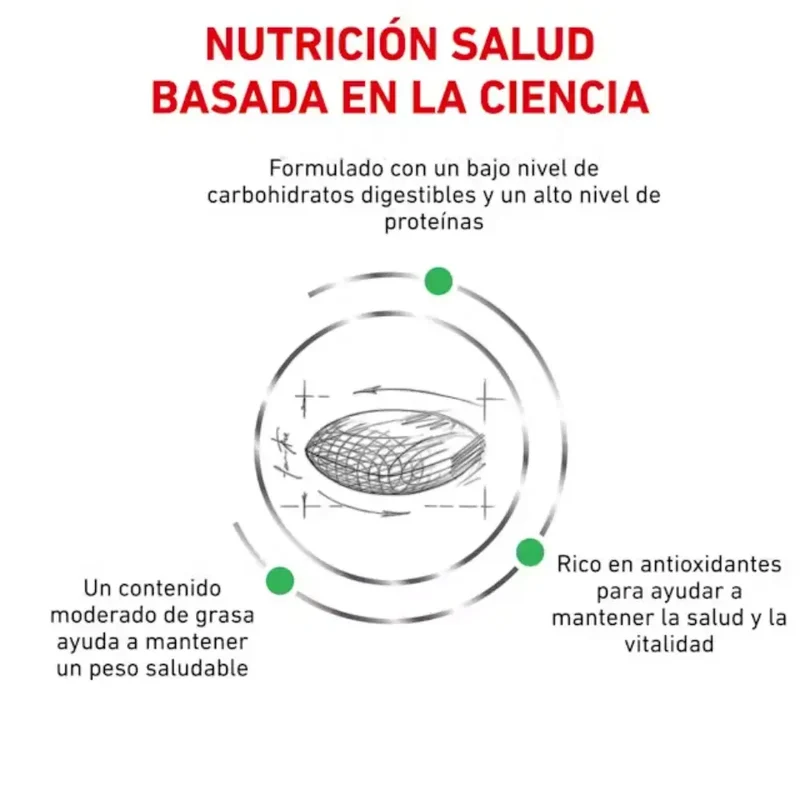 Royal Canin Veterinary Diabetic Pienso para Gatos Diabéticos