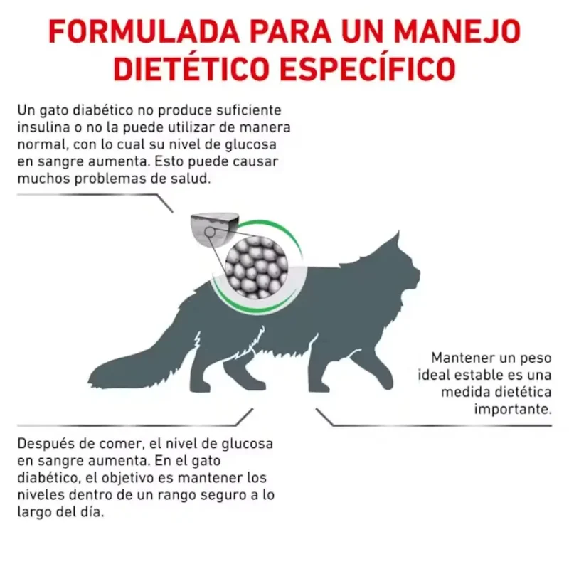 Royal Canin Veterinary Diabetic Pienso para Gatos Diabéticos