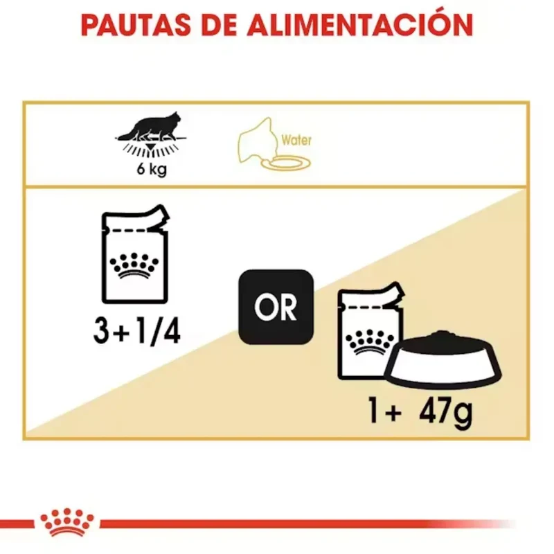 Royal Canin Maine Coon 85 g Paté Húmedo para Gatos